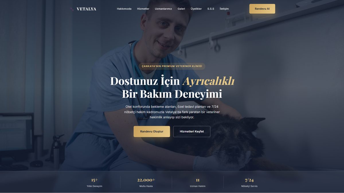 Portfolyo örneği